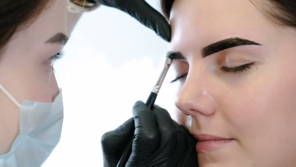 Cosmetologist βάζει χρώμα από τα φρύδια τους πελάτες με βούρτσα. Closeup μπροστινή όψη. Διόρθωση φρυδιών. — Αρχείο Βίντεο