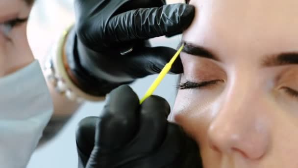 Esteticista frota con un hisopo de algodón las cejas de las mujeres. Corrección de cejas. Vista frontal de primer plano — Vídeos de Stock