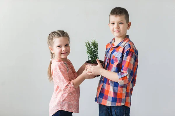 Cute kids boy and girl holding young plant in a pot Stock Image