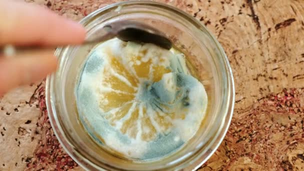Mans hand trekt met lepel meeldauw bedekte gesneden citroen uit transparante pot, close-up. — Stockvideo