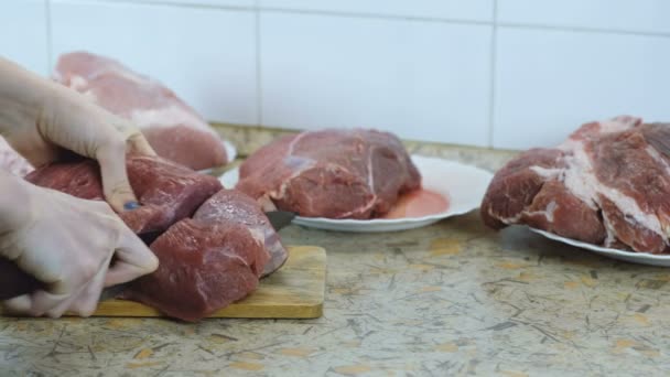 Koken gehakt van rundvlees, varkensvlees en uien met een vleesmolen. — Stockvideo