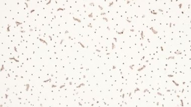 Sızdıran beyaz yüzey dokusu.