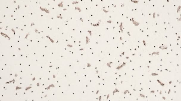 Texture de surface blanche qui fuit. Gros plan .