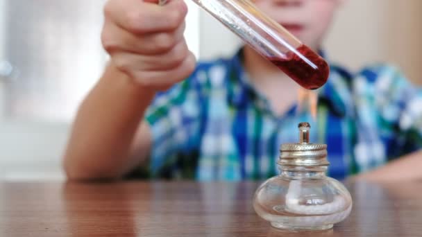 Experimenten op chemie thuis. Closeup jongens handen verwarmt de proefbuis met rode vloeistof over brandende alcohol lamp. De vloeistof kookt. — Stockvideo