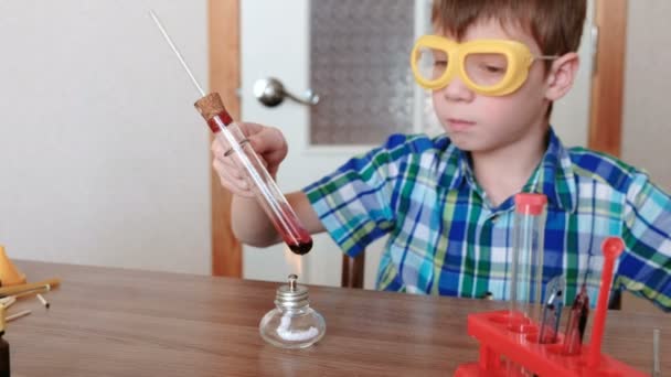 Πειράματα στη χημεία στο σπίτι. Αγόρι θερμαίνει το δοκιμαστικό σωλήνα με κόκκινο υγρό στο κάψιμο αλκοόλ λάμπα. Βράζει το υγρό. — Αρχείο Βίντεο