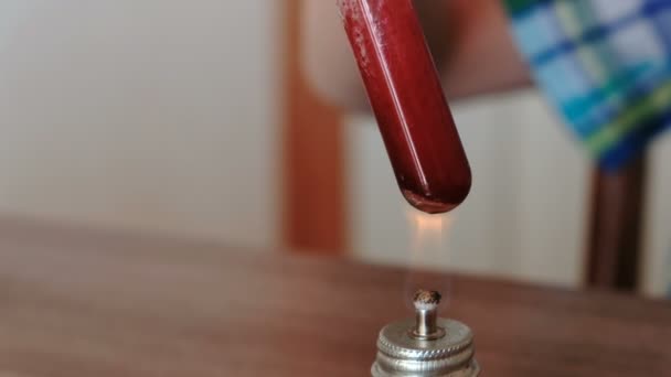 Experimentos de química en casa. Vista de cerca manos de los niños calienta el tubo de ensayo con líquido rojo en la lámpara de alcohol en llamas. El líquido hierve — Vídeos de Stock