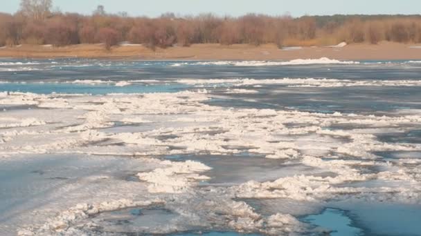 Prachtig uitzicht van de drift van ijs op de rivier in het voorjaar. Zandstrand met bomen. — Stockvideo