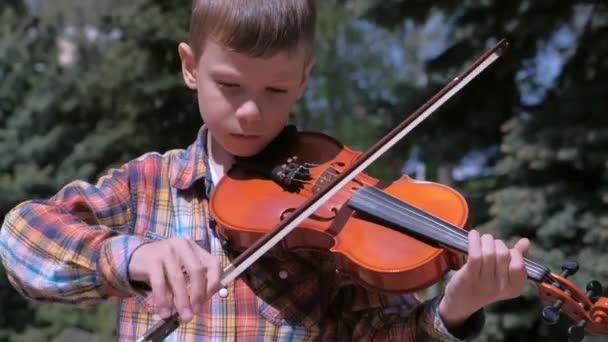 Portret van kind jongen speelt de viool staande in Park op Pine achtergrond. — Stockvideo