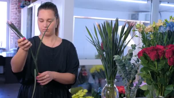 Γυναίκα ανθοπωλείο δημιουργεί μπουκέτο από ίριδας και λουλούδια αλστρομέρια σε ανθοπωλείο. — Αρχείο Βίντεο