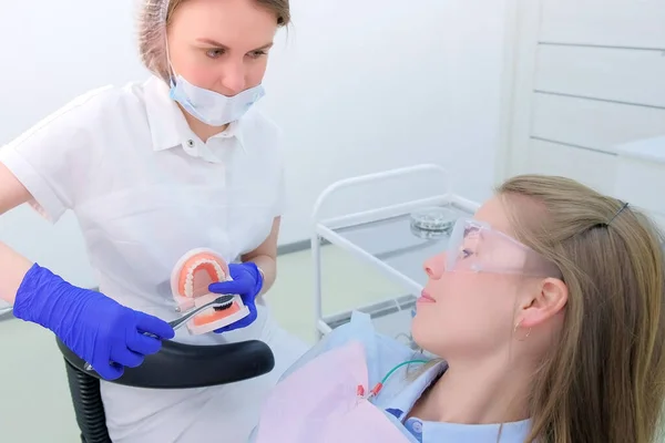 Дантист учит пациента на модели челюсти, как правильно чистить зубы зубной щеткой . — стоковое фото