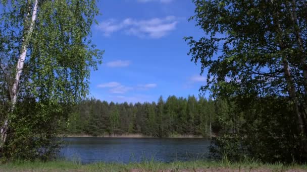 Prachtig uitzicht op prachtige natuur achtergrond met meer en bos in de zomer. — Stockvideo