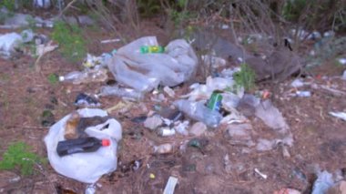 Ormandaki pislik, bulanık doğa geçmişi, çevresel kirlilik..