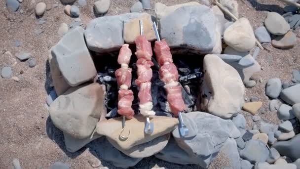 Shashlik cuisson sur brochettes sur pierre feu de camp fait à la main avec des charbons chauds, vue sur le dessus . — Video