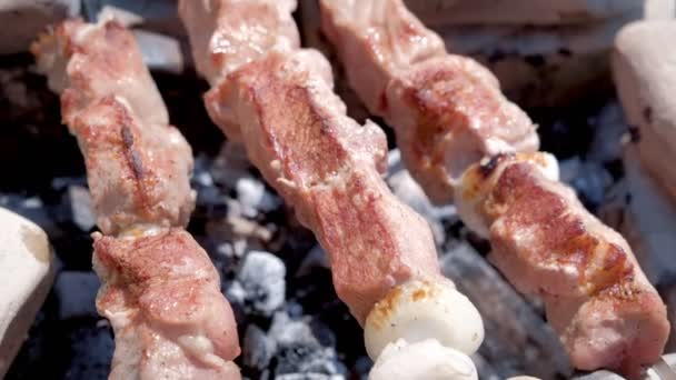 Close-up shashlik koken op spiesjes op hete houtskool. — Stockvideo