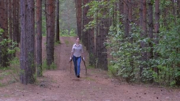 Mujer lleva árboles talados a un campamento de exploradores forestales para leña, vista frontal . — Vídeos de Stock