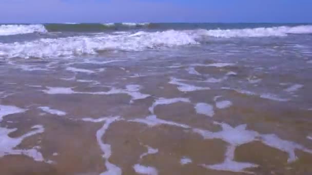 Zee met lange grote stormachtige golven en vuil water in zandstrand op zonnige dag. — Stockvideo