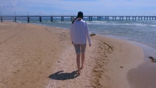 Mujer viajera camina sobre conchas, agua de mar y arena en la playa con sombrero . — Vídeos de Stock