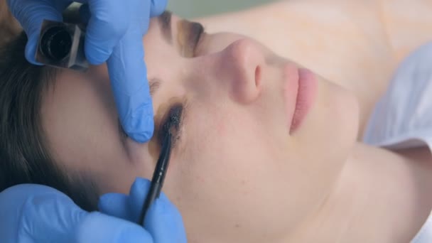 Kosmetikerin trägt Farbe zum Laminieren auf Wimpern auf, Lift-Wimpern-Verfahren. — Stockvideo