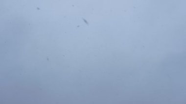 Karlı bir arka planda, bulutlu bir günde gökyüzünden yağan kar taneleri..