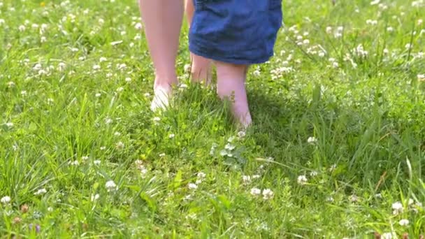 Mom learning baby girl to walk, first steps in park, barefooted legs closeup. — Stock Video