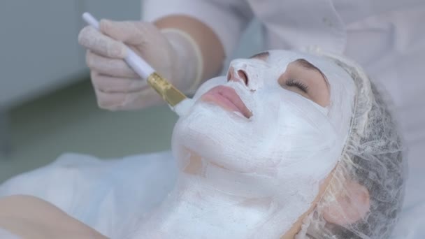 Cosmetologo sta applicando maschera idratante viso sulla faccia della donna con pennello . — Video Stock
