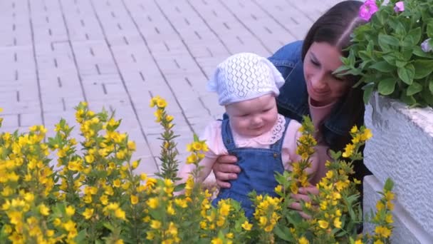 Moeder wandelen met dochter baby in park houden haar en kijken naar bloemen. — Stockvideo