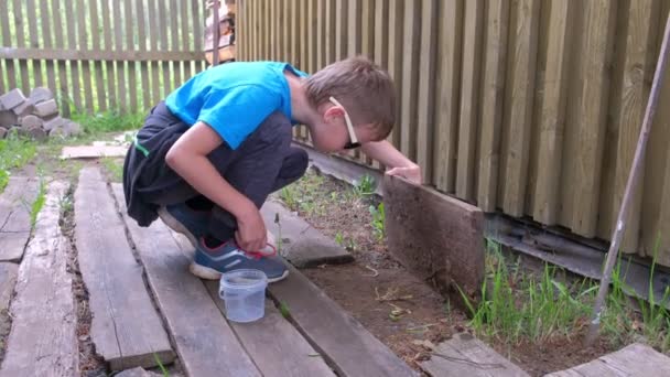 男孩在村子的木板下捡虫子钓鱼. — 图库视频影像
