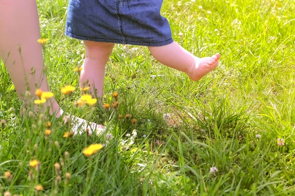 Mama uczy dziecko chodzić, pierwsze kroki w parku boso nogi zbliżenie. — Zdjęcie stockowe