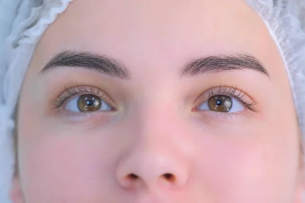 Woman lashes before beauty procedure of eyelash lifting and laminating, closeup.