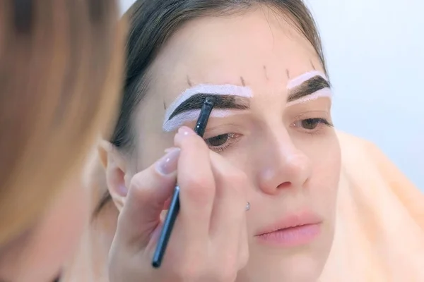 Beautician tinting woman eyebrows applying brown paint use brush, face closeup.