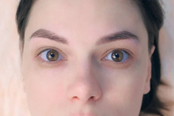 Portrait woman after tinting eyebrows looking at camera in cosmetology clinic. — Stok Foto