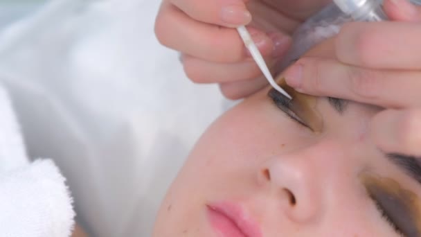 Cosmetologue flexion des cils avec aiguille dans les bigoudis, soulever les cils stratifié. — Video