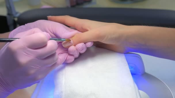 Manicurist master painting clients nails gel shellac, another hand in UV lamp. — Stock Video