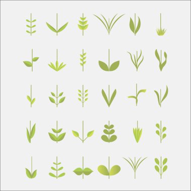 Yaprak ve çiçek dalları beyaz bir arka plan üzerinde büyük bir set. Tasarım için dekoratif elemanlar.