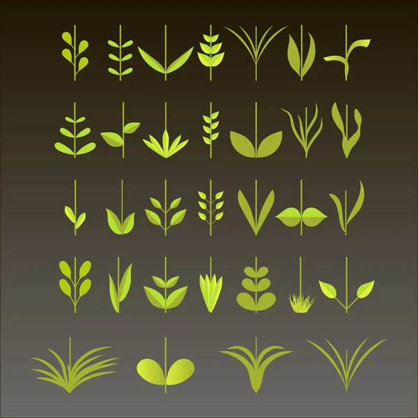 A large set of leaves and branches of flowers on a dark background. Decorative elements for design. — Stock Vector
