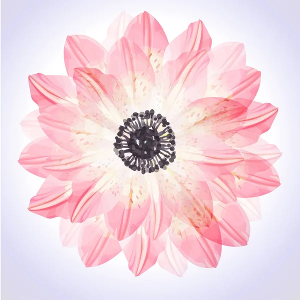 ピンクの花弁を持つシームレス花柄 — ストックベクタ