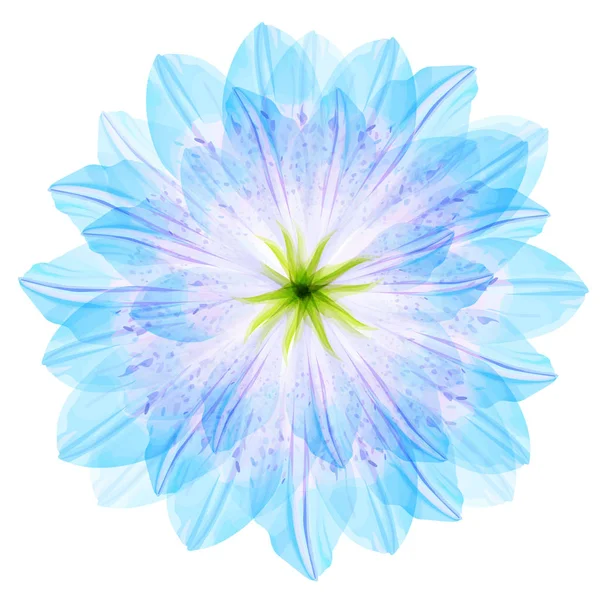 Padrão redondo floral de pétalas de flor azul —  Vetores de Stock