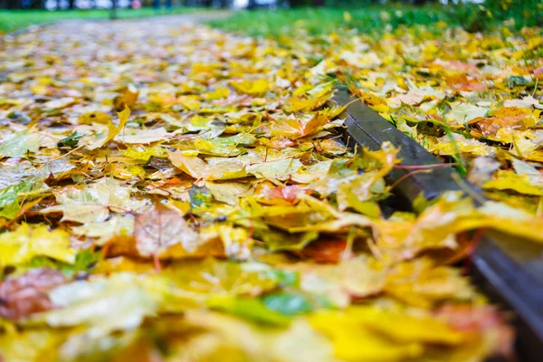 노란 단풍 잎 바닥에 누워입니다. 모스크바가 — 스톡 사진