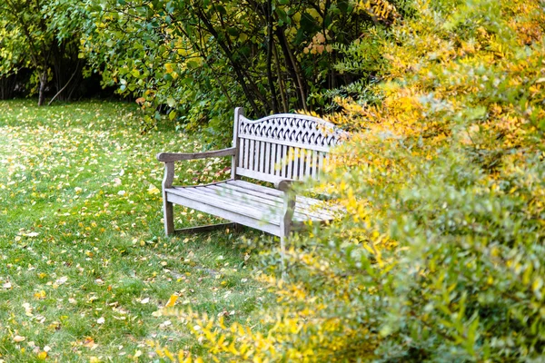 Un banco de madera se encuentra en el jardín entre el amarillo de otoño y —  Fotos de Stock