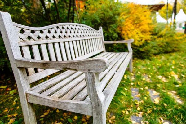 A wooden bench stands in the garden among the autumn yellow and — Stock Photo, Image