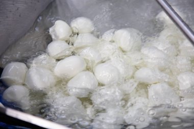 Mozzarella fabrikada üretim. Peynir topları