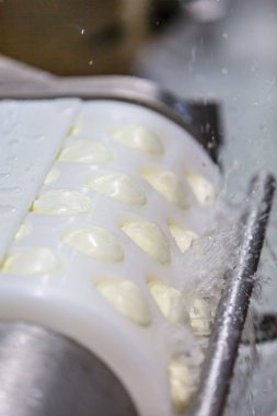 Mozzarella fabrikada üretim. Peynir topları