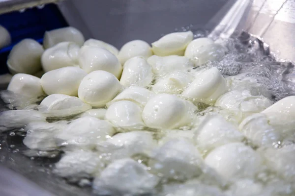Mozzarella fabrikada üretim. Peynir topları