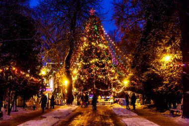Noel ağacı gece Park, ışıklar ve oyuncaklar