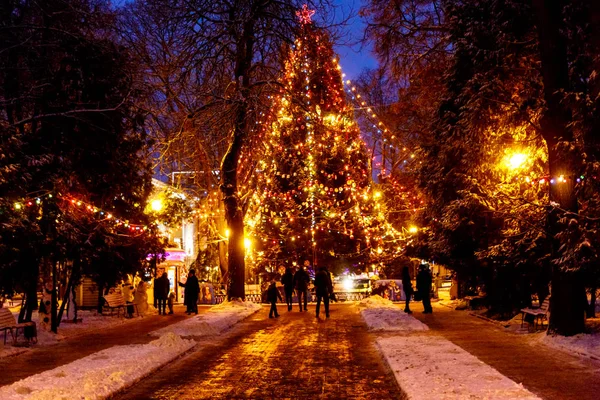 Kerstboom nacht in het Park, de lichten en de speelgoed — Stockfoto