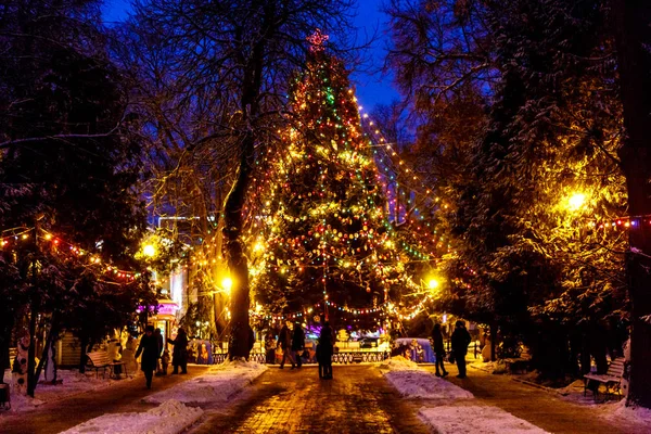 Kerstboom nacht in het Park, de lichten en de speelgoed — Stockfoto