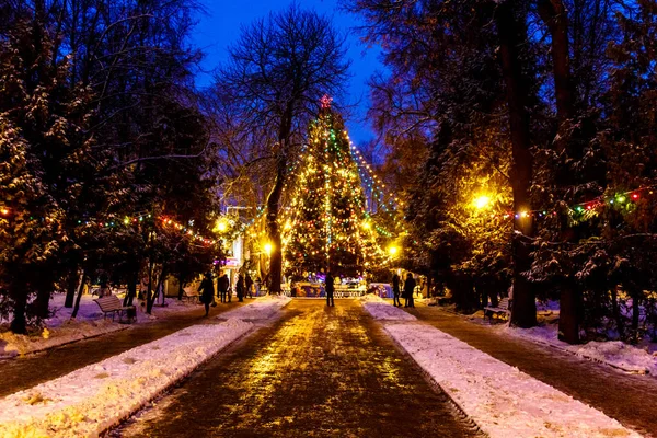 Noel ağacı gece Park, ışıklar ve oyuncaklar