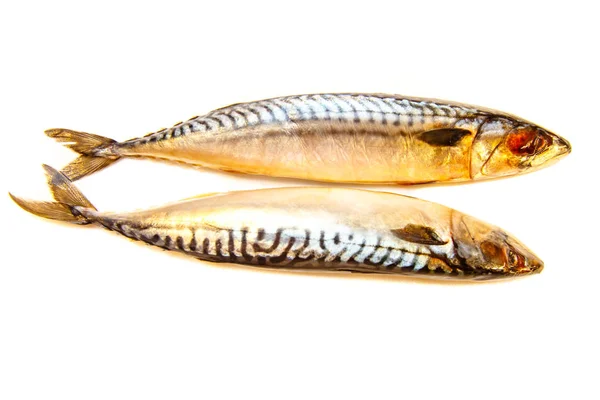 Makreli świeżych ryb na białym tle, na białym tle. — Zdjęcie stockowe