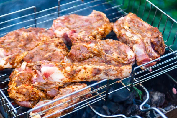 Bir dal biberiye ile kömürlerin üzerinde kavrulmuş et (domuz).