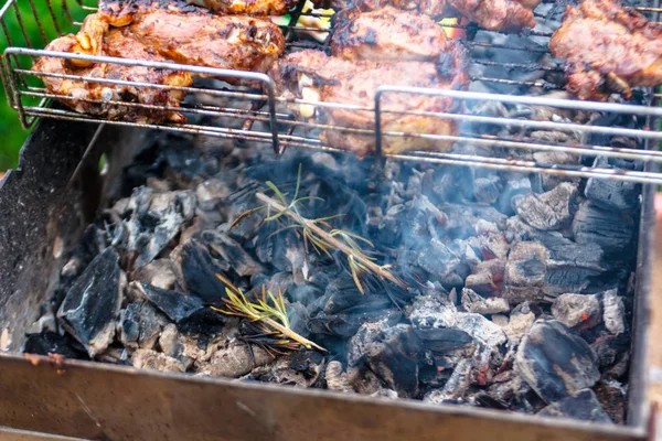 Kött (fläsk) grillas på kolen med en kvist rosmarin. — Stockfoto